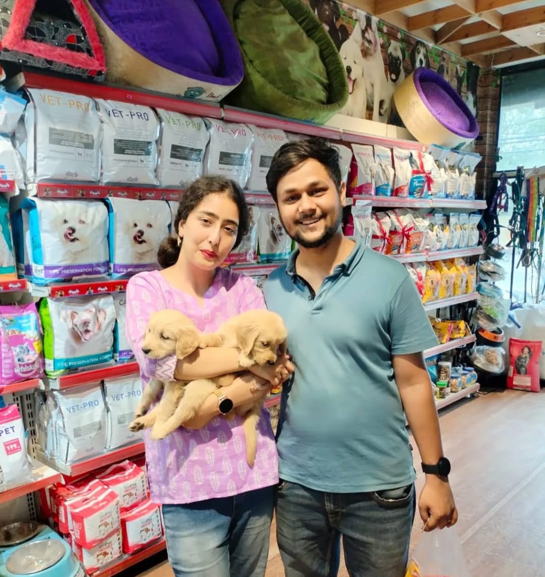 Healthy Golden Retriever puppy for sale in Delhi NCR